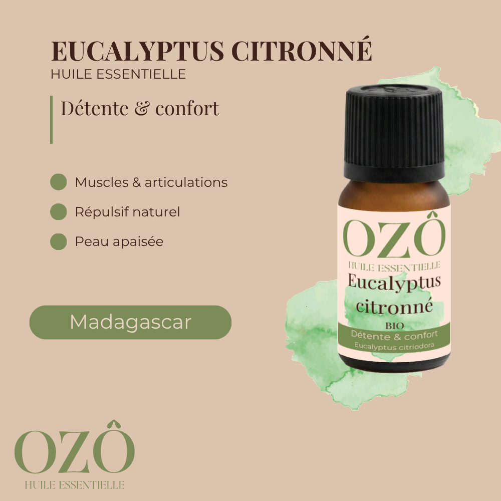 Huile Essentielle d'Eucalyptus citronné BIO