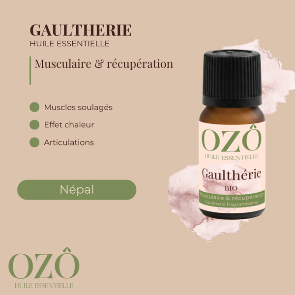 Huile Essentielle de Gaulthérie BIO