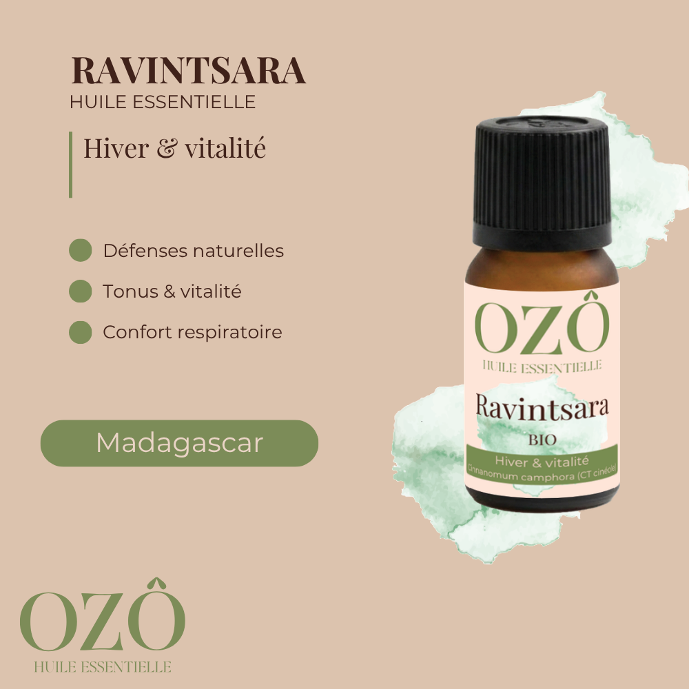 Huile Essentielle de Ravintsara BIO