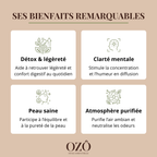 Huile essentielle de Citron BIO