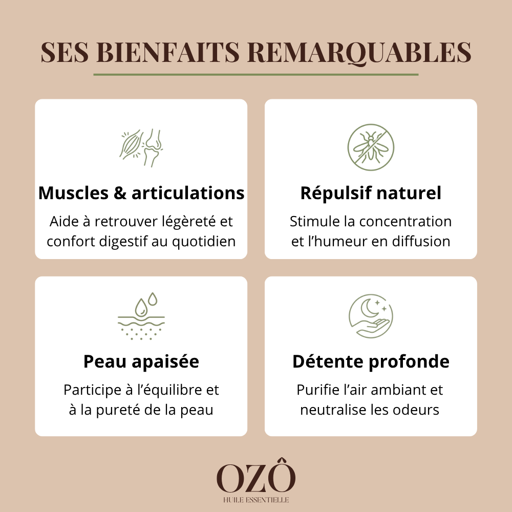Huile Essentielle d'Eucalyptus citronné BIO