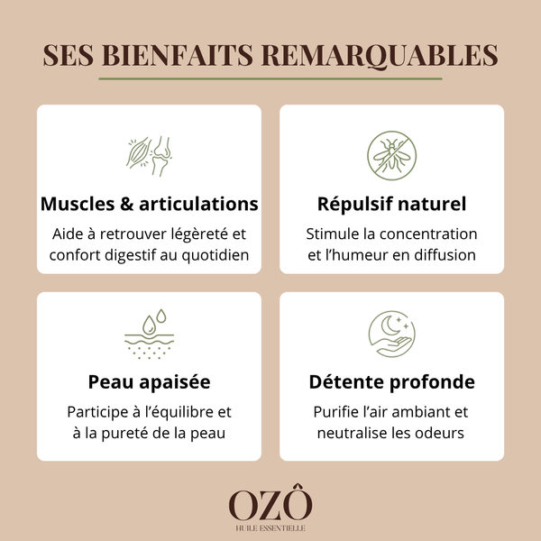 Huile Essentielle d'Eucalyptus citronné BIO