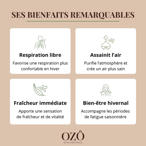 Huile Essentielle d'Eucalyptus radié BIO