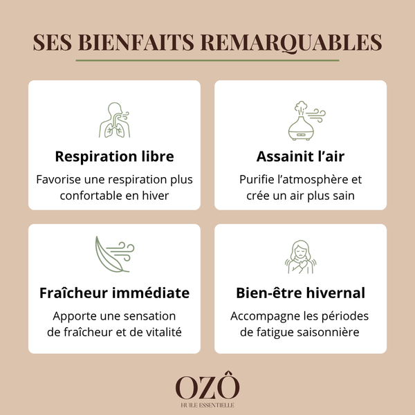 Huile Essentielle d'Eucalyptus radié BIO