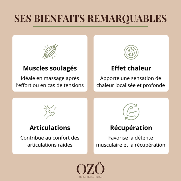 Huile Essentielle de Gaulthérie BIO