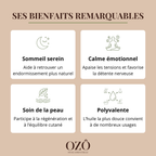 Huile Essentielle de Lavande vraie BIO