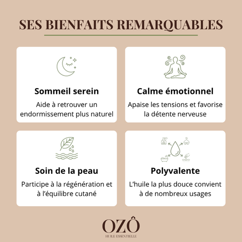Huile Essentielle de Lavande vraie BIO