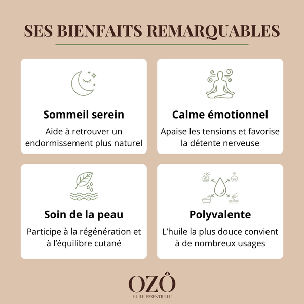 Huile Essentielle de Lavande vraie BIO