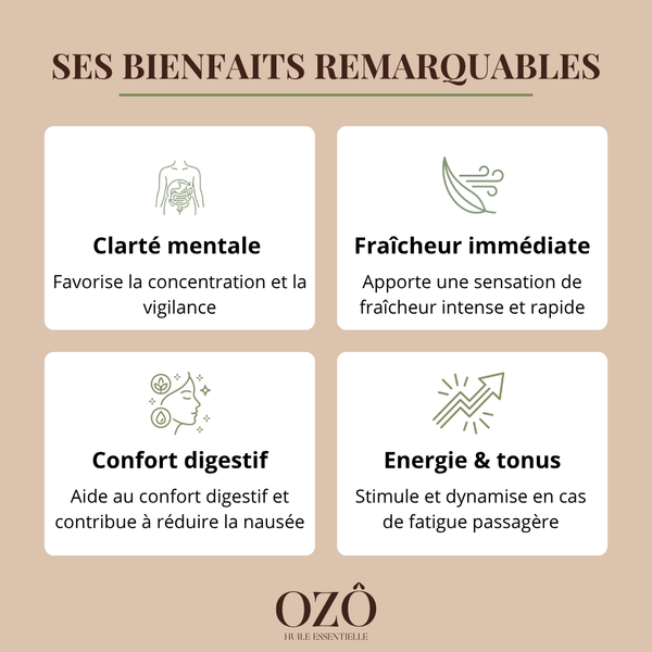 Huile Essentielle de Menthe poivrée BIO