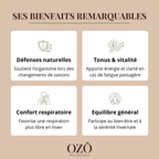 Huile Essentielle de Ravintsara BIO