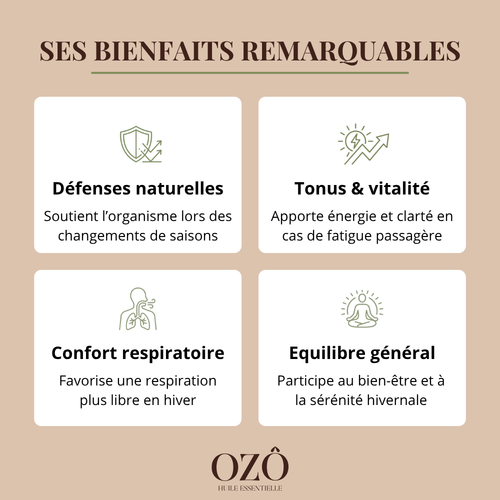 Huile Essentielle de Ravintsara BIO