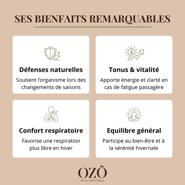 Huile Essentielle de Ravintsara BIO