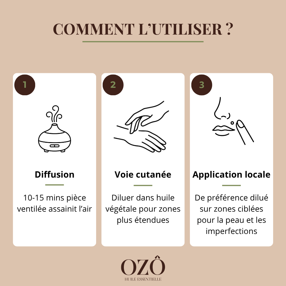 Huile Essentielle de Ravintsara BIO