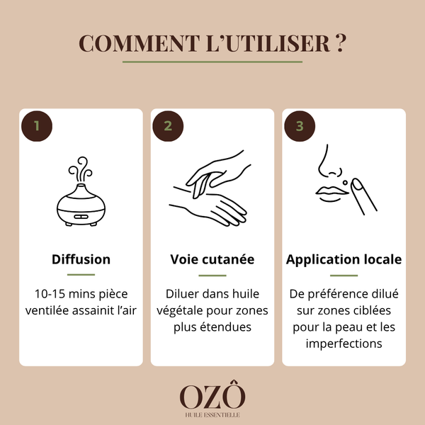 Huile Essentielle de Ravintsara BIO
