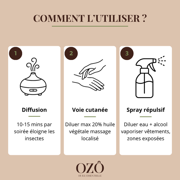 Huile Essentielle d'Eucalyptus citronné BIO