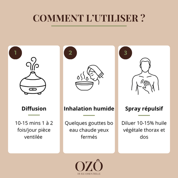 Huile Essentielle d'Eucalyptus radié BIO
