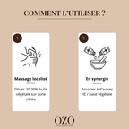 Huile Essentielle de Gaulthérie BIO