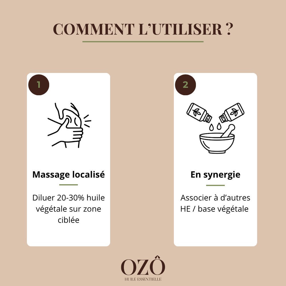 Huile Essentielle de Gaulthérie BIO