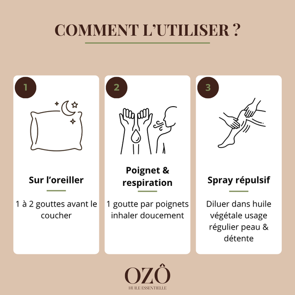 Huile Essentielle de Lavande vraie BIO