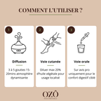 Huile Essentielle de Menthe poivrée BIO