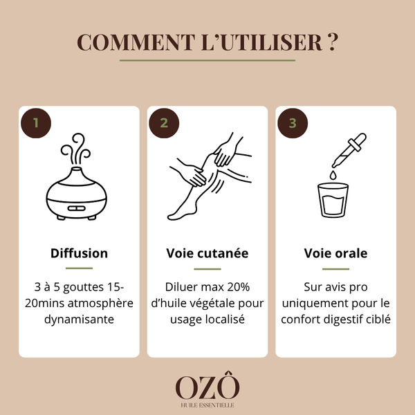Huile Essentielle de Menthe poivrée BIO