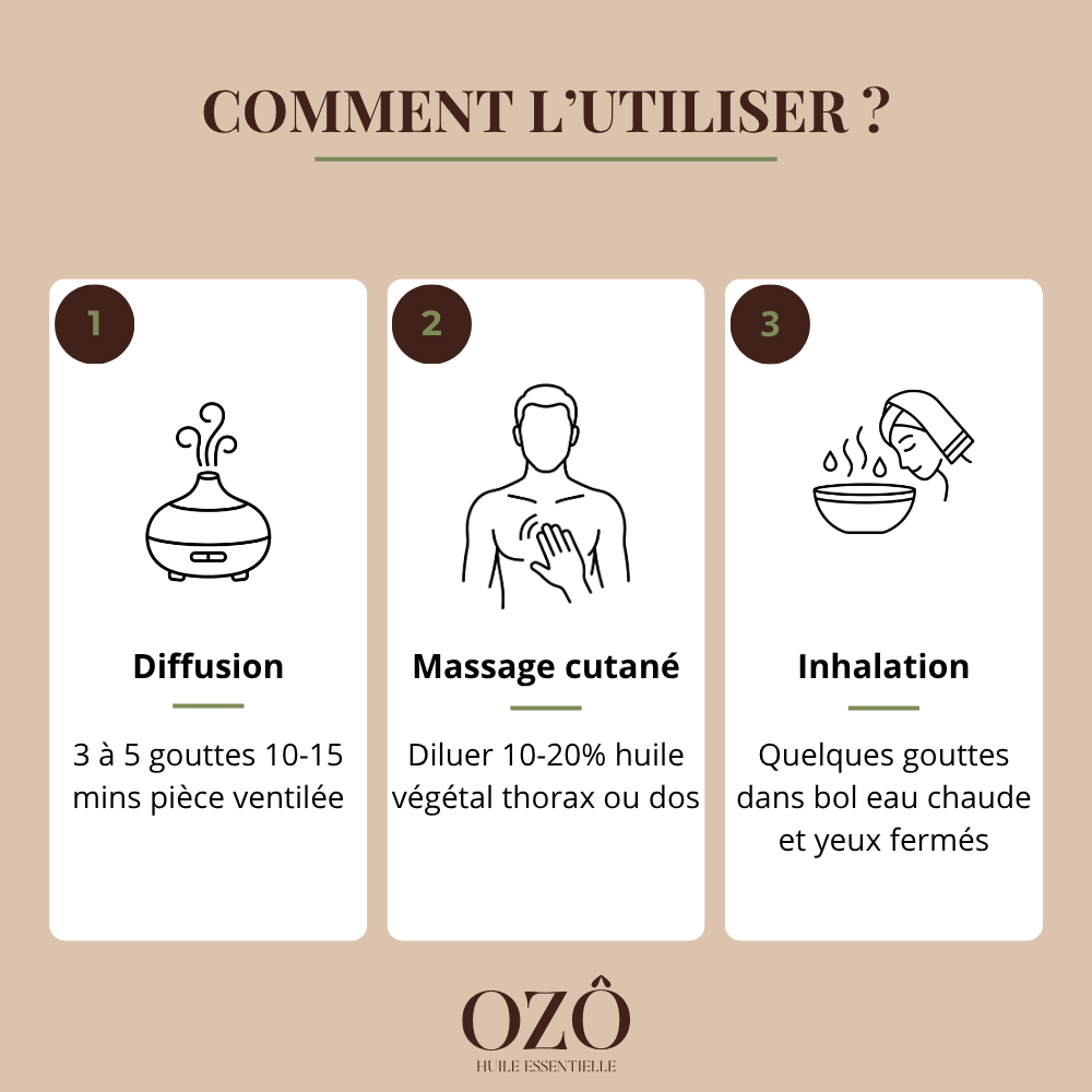 Huile Essentielle de Tea Tree BIO