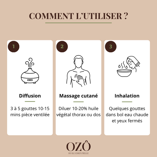 Huile Essentielle de Tea Tree BIO